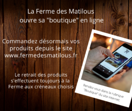 post boutique en ligne
