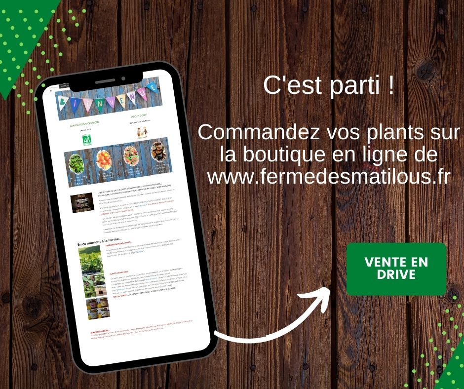 Commandez vos plants sur la boutique EN lignerder Online Right Now!